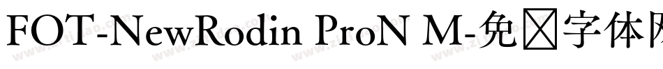 FOT-NewRodin ProN M字体转换
